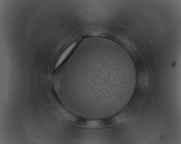 X0000093450461200710191106