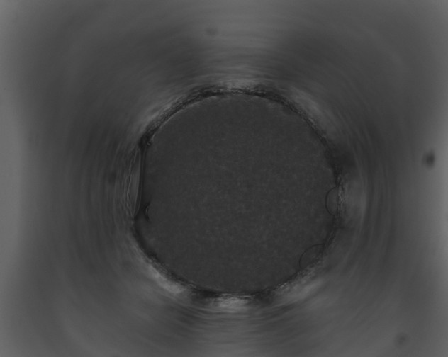 X0000093450462200710191106