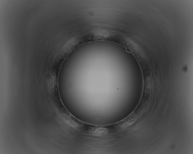 X0000093450463200710191106