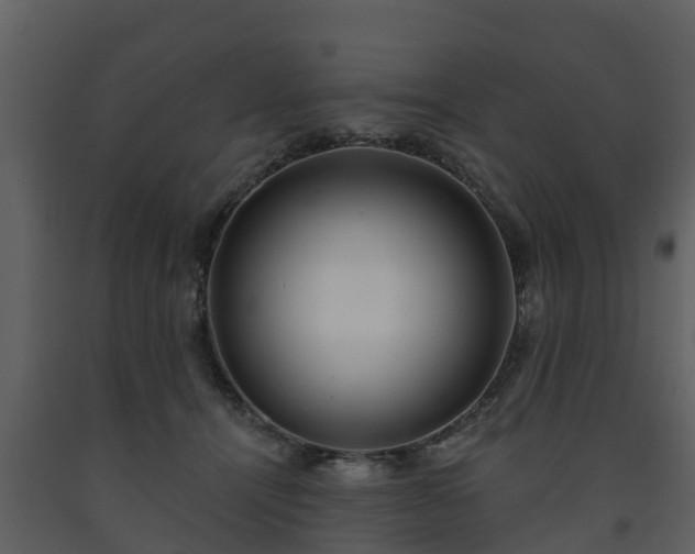 X0000093450464200710191106