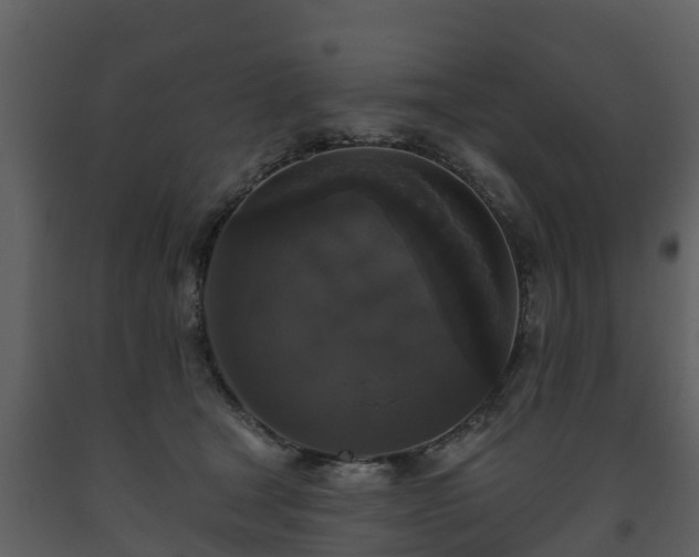 X0000093450465200710191106