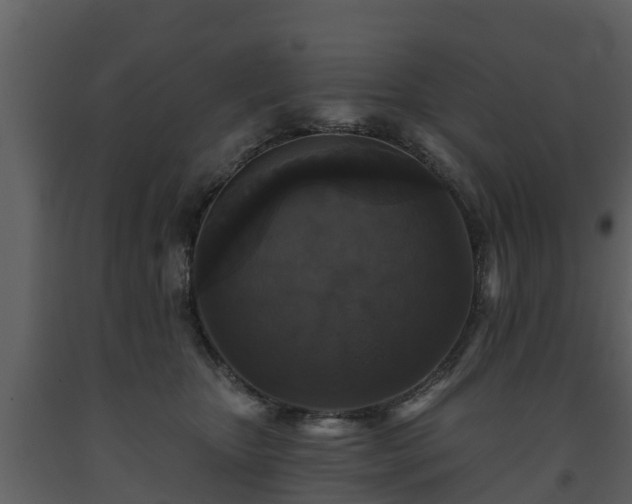 X0000093450467200710191106