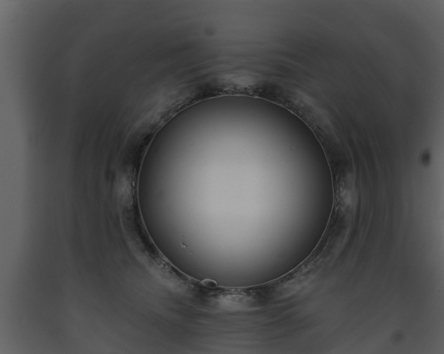 X0000093450468200710191106