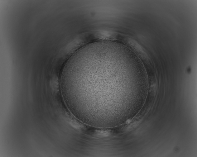 X0000093450469200710191106