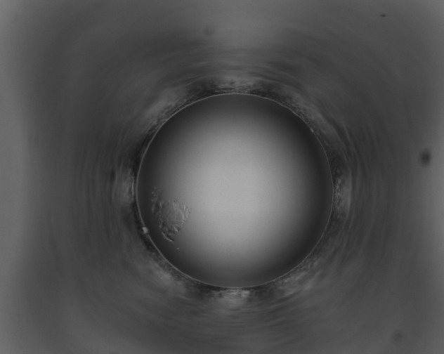 X0000093450474200710191106