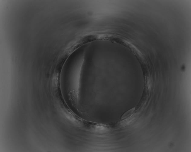 X0000093450475200710191107