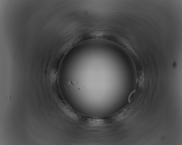 X0000093450476200710191107