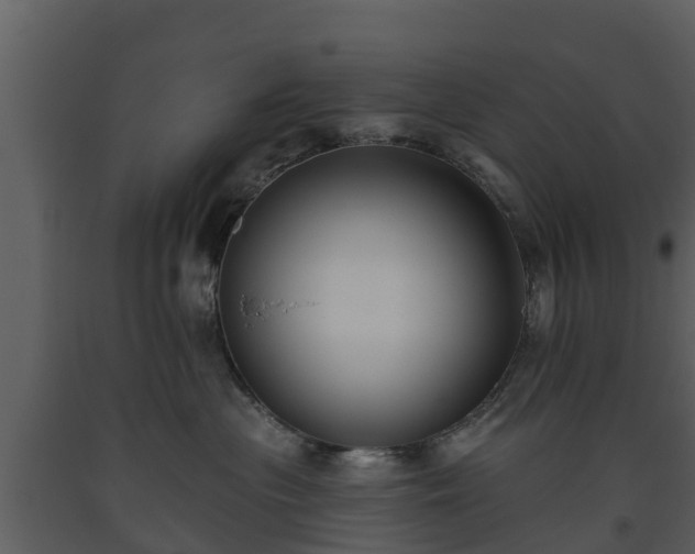 X0000093450477200710191107