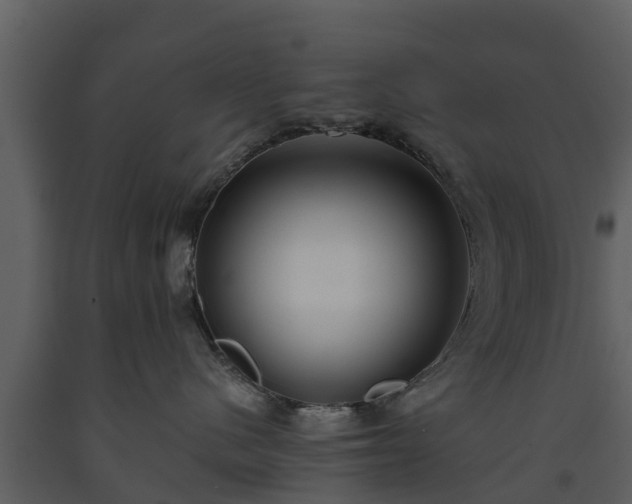 X0000093450480200710191107