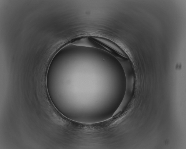 X0000093450481200710191106