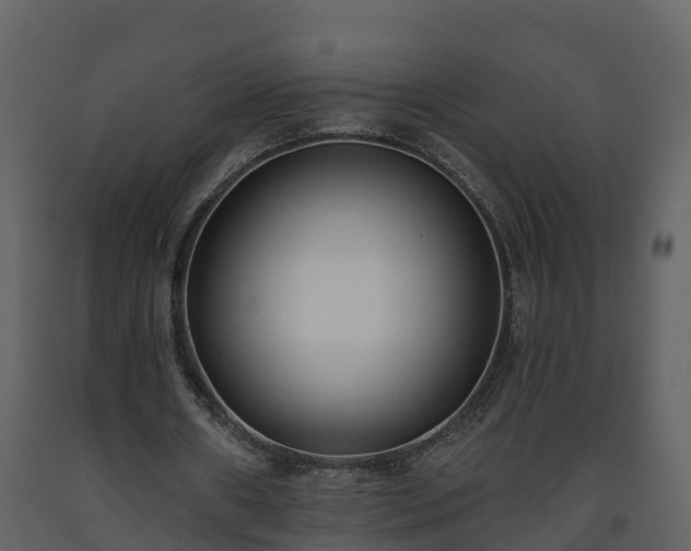 X0000093450482200710191106