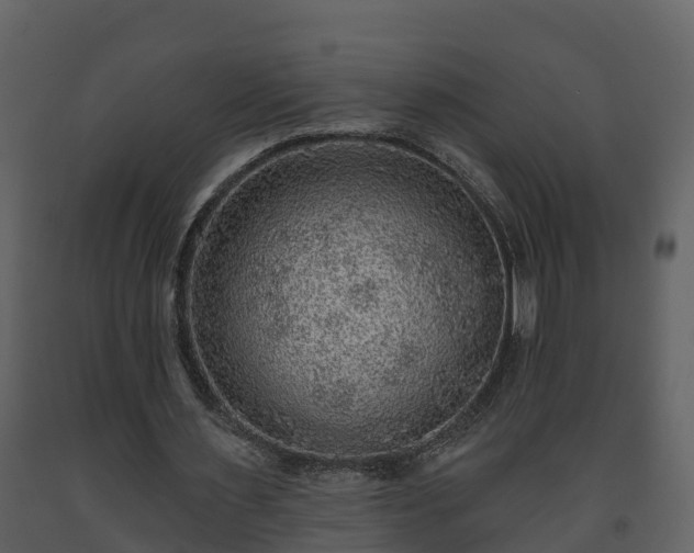 X0000093450483200710191106