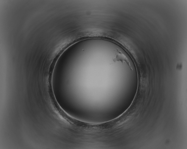 X0000093450485200710191106