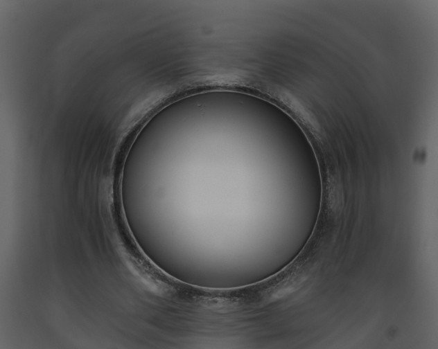 X0000093450486200710191106