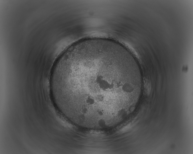 X0000093450487200710191106