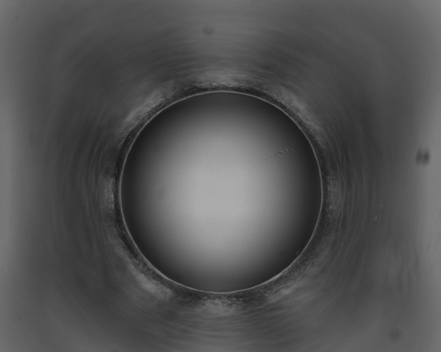 X0000093450489200710191106