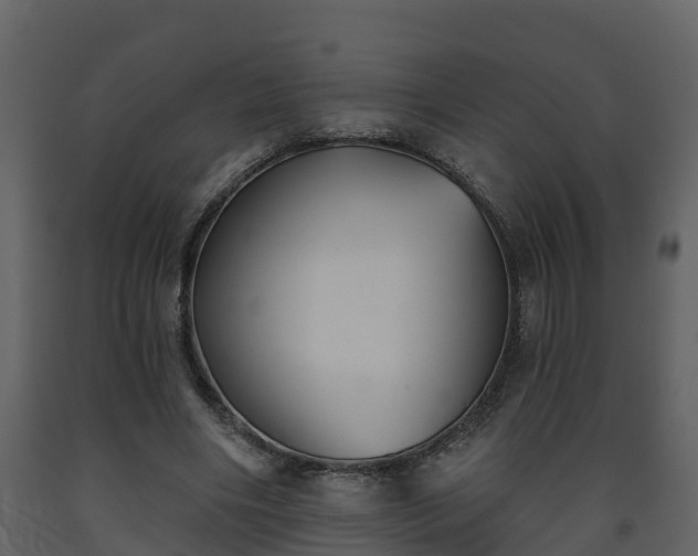 X0000093450490200710191106