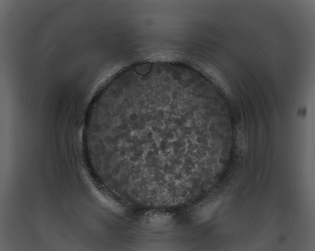 X0000093450491200710191106