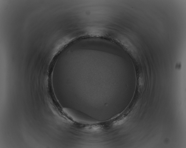 X0000093450492200710191106