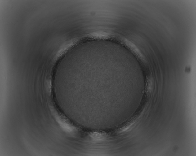 X0000093450494200710191106