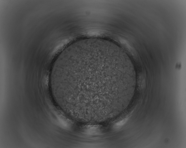 X0000093450495200710191106