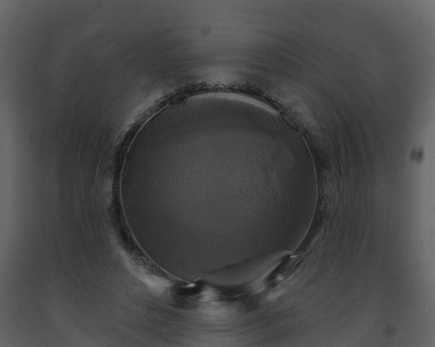 X0000093450496200710191106