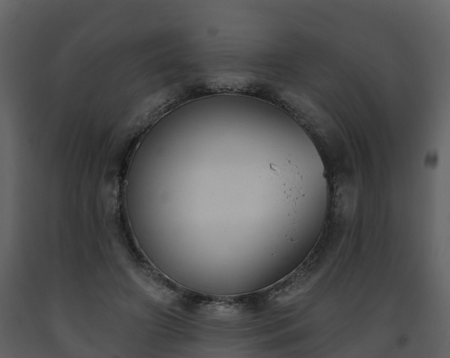 X0000093450498200710191106