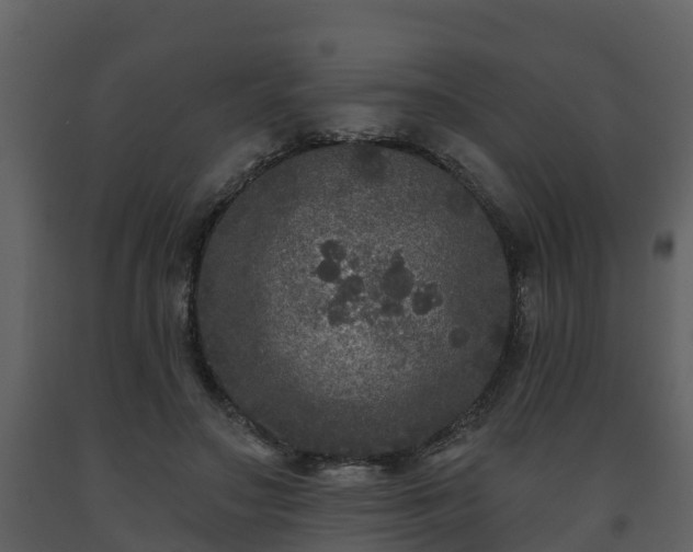 X0000093450499200710191106