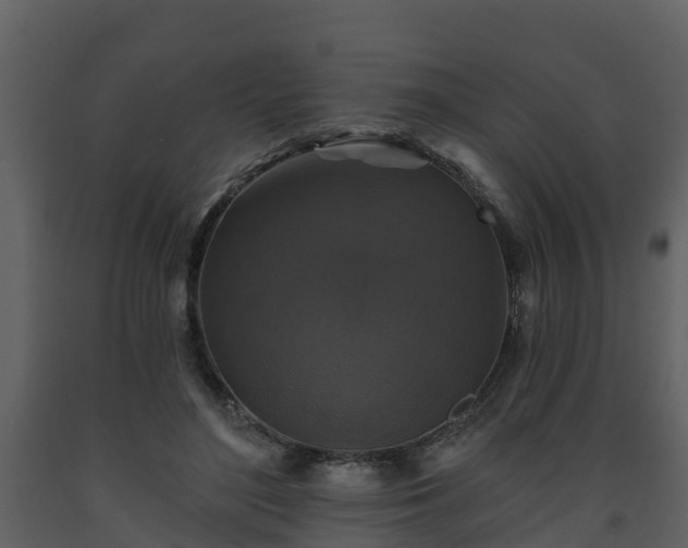 X0000093450500200710191105