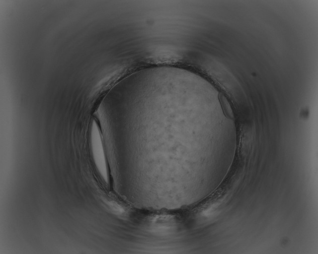 X0000093450501200710191105