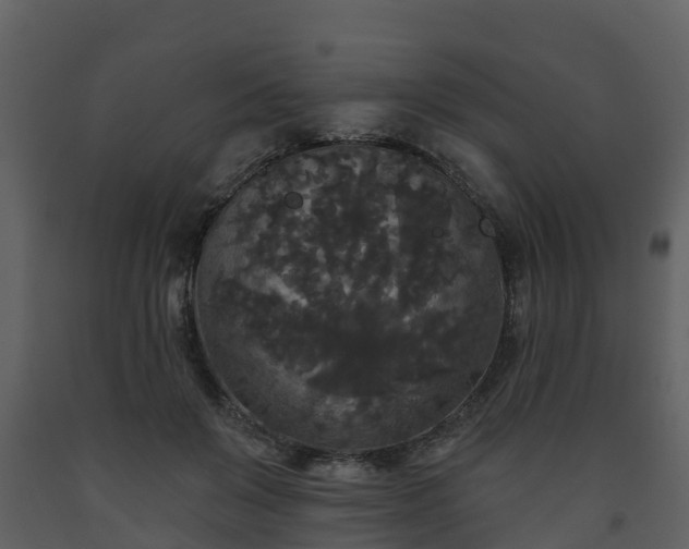 X0000093450503200710191105