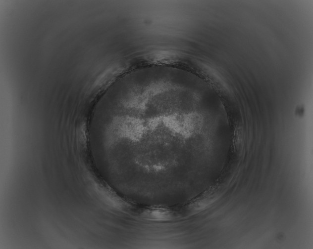 X0000093450506200710191105