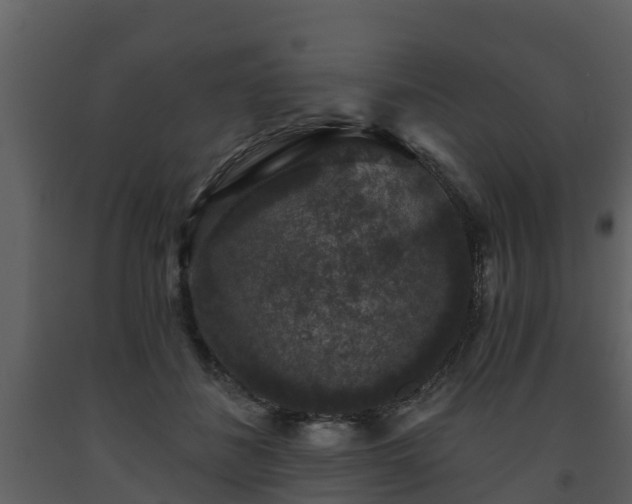 X0000093450508200710191105