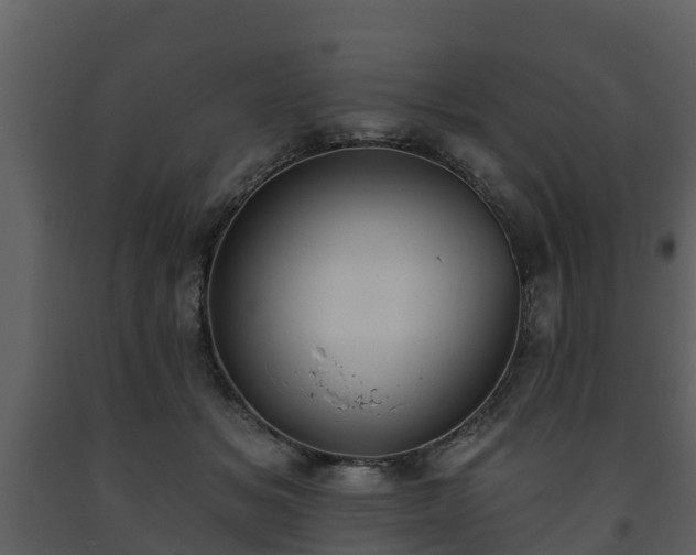 X0000093450509200710191105