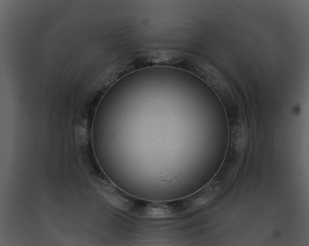 X0000093450510200710191105