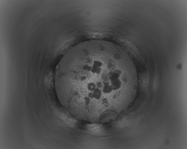 X0000093450511200710191105