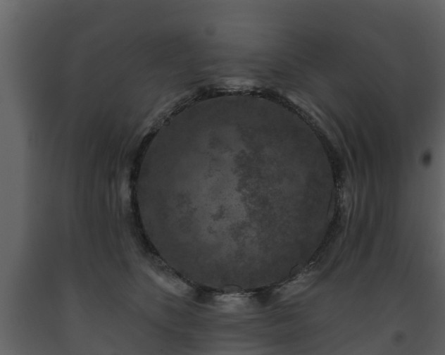 X0000093450516200710191105