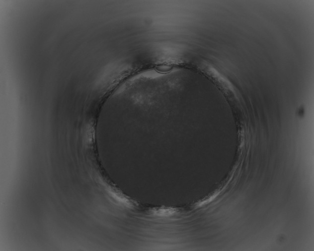 X0000093450517200710191105