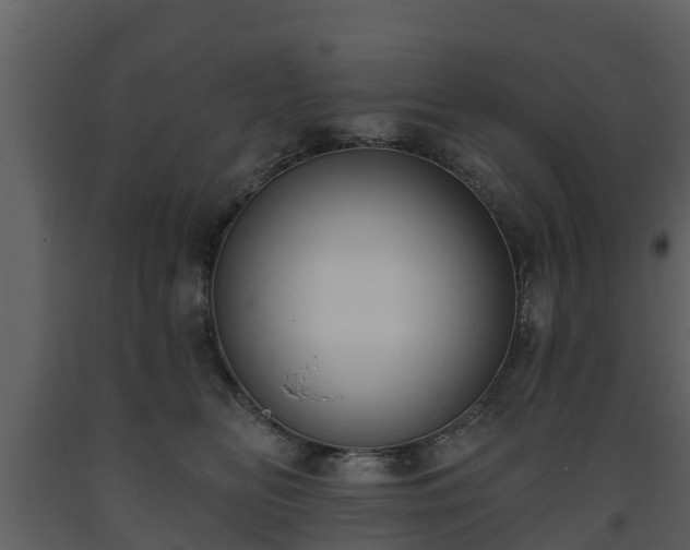 X0000093450518200710191105