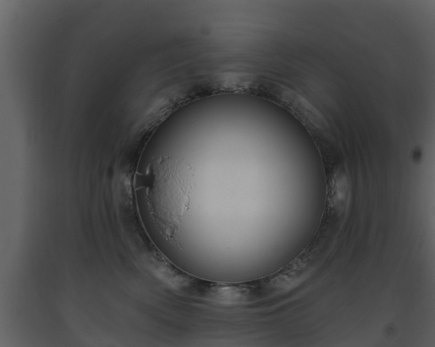 X0000093450522200710191105