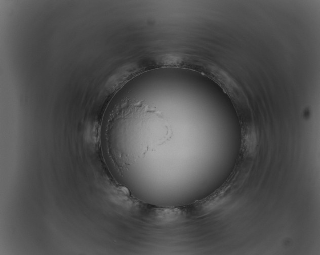 X0000093450525200710191105