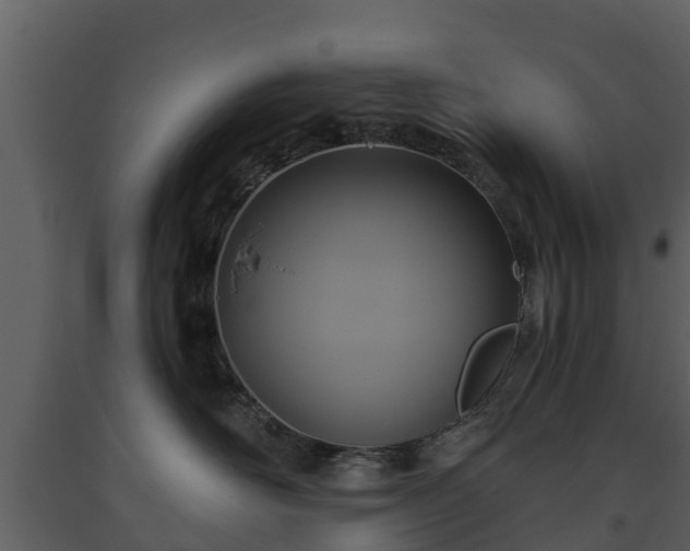 X0000093450526200710191105