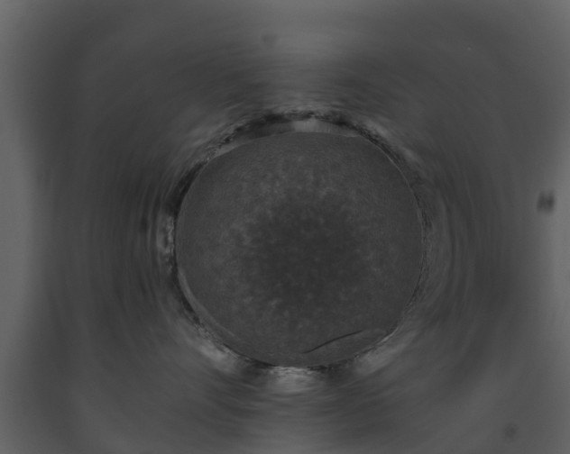 X0000093450528200710191105