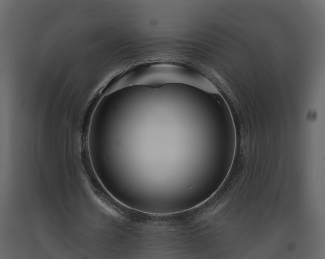 X0000093450530200710191104