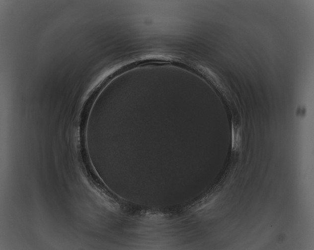 X0000093450531200710191104