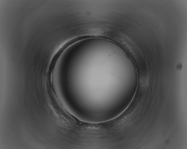 X0000093450532200710191104