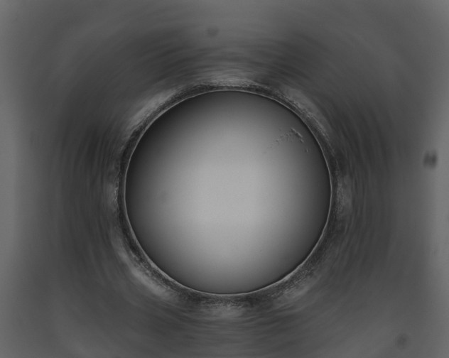 X0000093450533200710191104