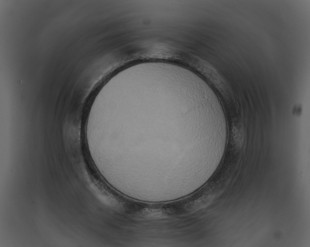 X0000093450534200710191104