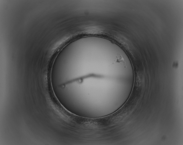 X0000093450535200710191104