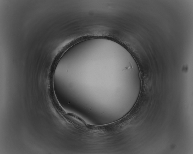 X0000093450536200710191104